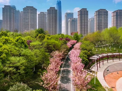 產城人文 深度融合 泛海武漢cbd打造未來金融產業(yè)城區(qū)樣本