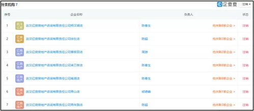 湖北消金合作方為客戶擔保引發(fā)關(guān)注，法院判決書揭示最高收取2%服務費